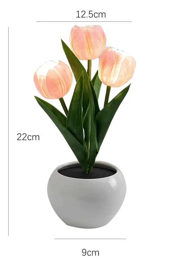 Tulip Night Light Lamp